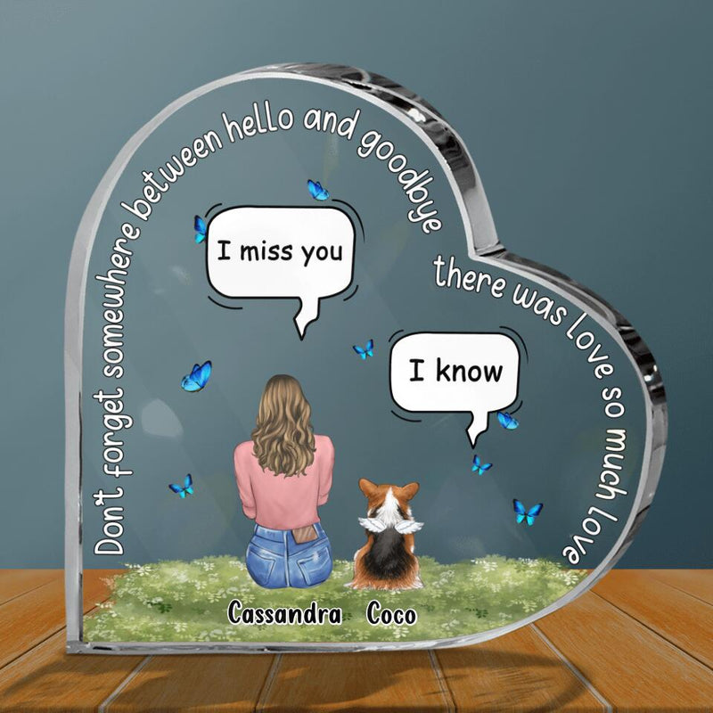 Personalized Pet Memorial Acrylic Plaque - Gift Idea For Dog/Cat/Rabbit Owner with up to 4 Pets - Don't Forget Somewhere Between Hello and Goodbye