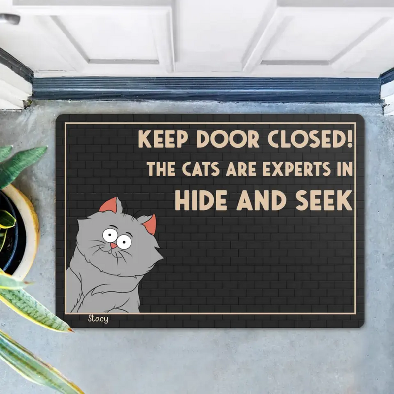 Personalized Cat Doormat - Up to 6 Cats - Gift Idea For Cat Lover - Keep Door Closed! The Cats Are Experts In Hide And Seek