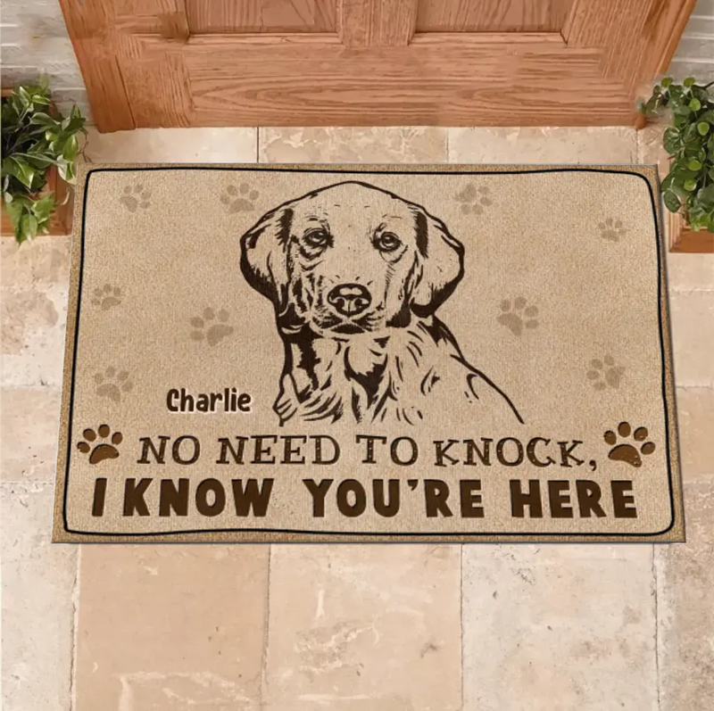 Personalized Welcome Doormat - Upload Pet's Photos - Gift Idea For Dog Lover - No Need To Knock I Know You're Here