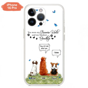 16 pro